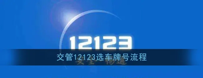 小型汽車網上自主編號申請怎么操作