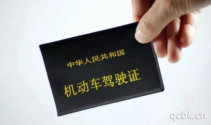 機動車駕駛證號查詢 網上如何查