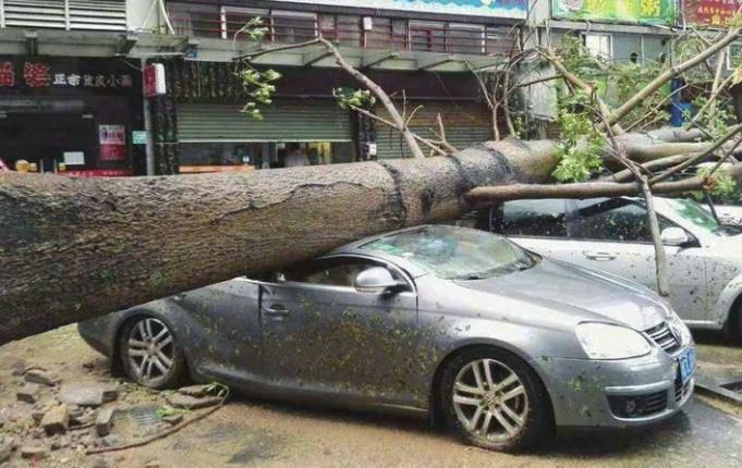 自然災害導致汽車受損怎么辦