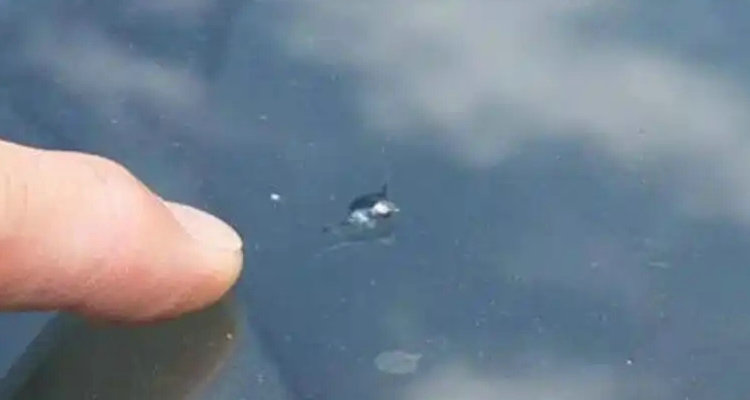 汽車(chē)前擋玻璃被石子砸了個(gè)小坑怎么辦