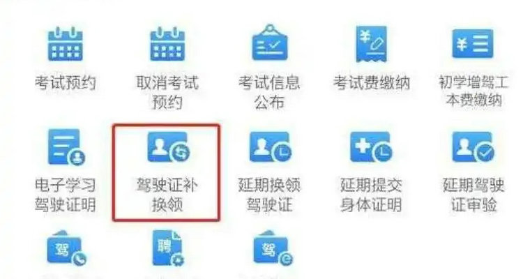 網上怎么審駕駛證