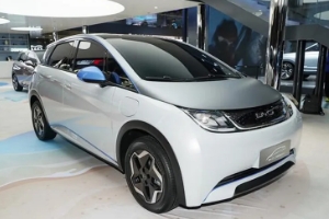 比亞迪海豚二手車價(jià)格 市場(chǎng)成交價(jià)9萬起（第一年保值率75%）