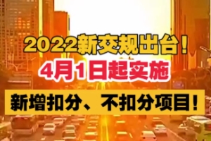2022年4月1日新交規扣分標準 做出多項改變（需要明確了解）