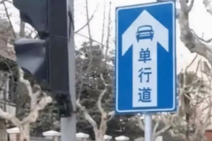 單行道一般拍入口還是出口 是在入口處拍照（注意遵守交通規則）