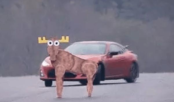 麋鹿測試，國際衡量汽車安全的重要標準（安全駕駛很重要）