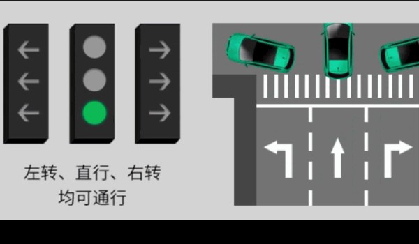 新國標紅綠燈信號燈圖解 共有8個圖解(8種應對措施)