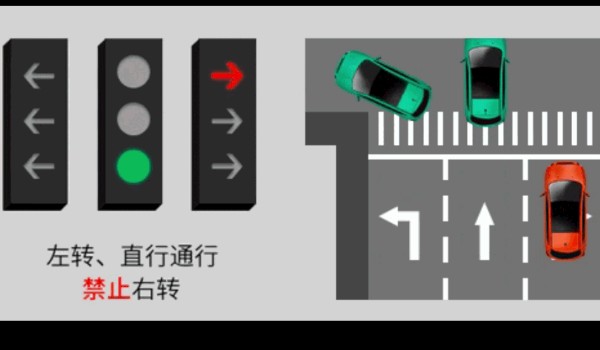 新國標紅綠燈信號燈圖解 共有8個圖解(8種應對措施)