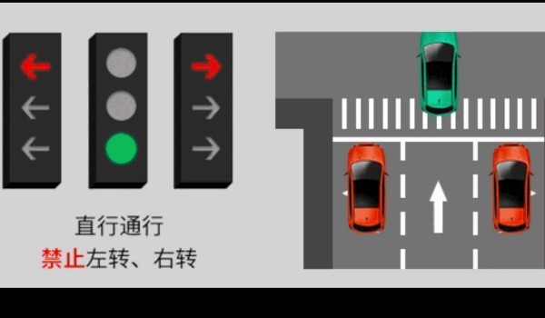 新國標紅綠燈信號燈圖解 共有8個圖解(8種應對措施)