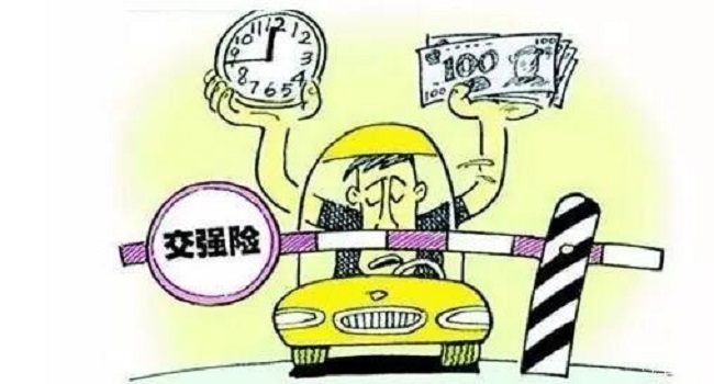 交強險多少錢一年，新規繳費方式變靈活了