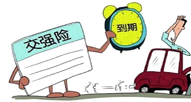 交強險多少錢一年，新規繳費方式變靈活了