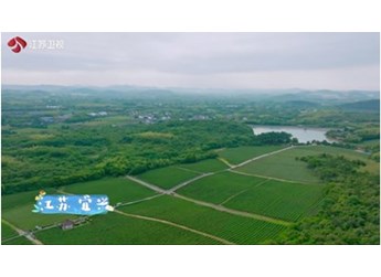7月13日《溫暖的客棧》第二期即將浪漫來襲，和全新D-MAX V-CROSS一起去“磕糖”! 封面圖