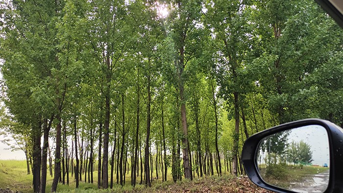 雨后見美景 雷克薩斯RX450hL懷來官廳游記