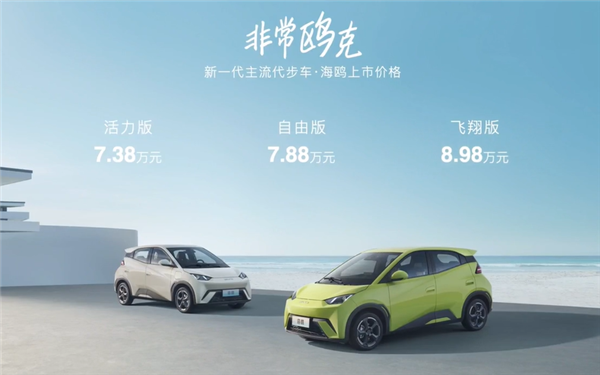 7.38萬起！比亞迪海鷗正式上市 續航最高可達405km